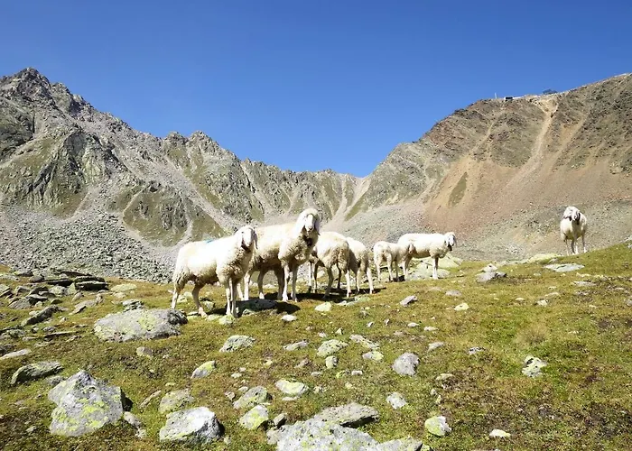 Hébergement de vacances Willi By Interhome *