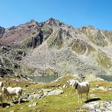 Willi By Interhome בית נופש